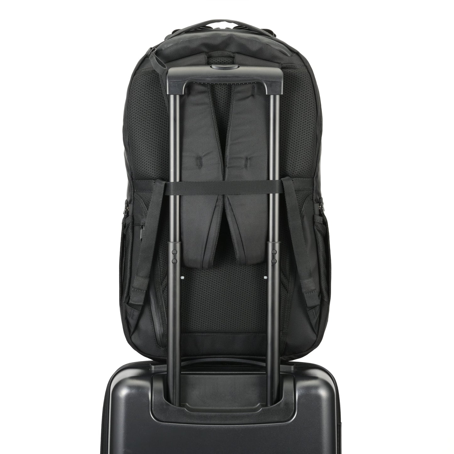 RUGGMASTER 2 Backpack Large ACE