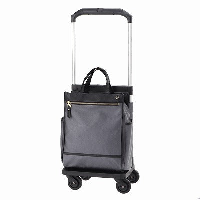 CALANDO 2 Wheeled Shopping Bag ACE