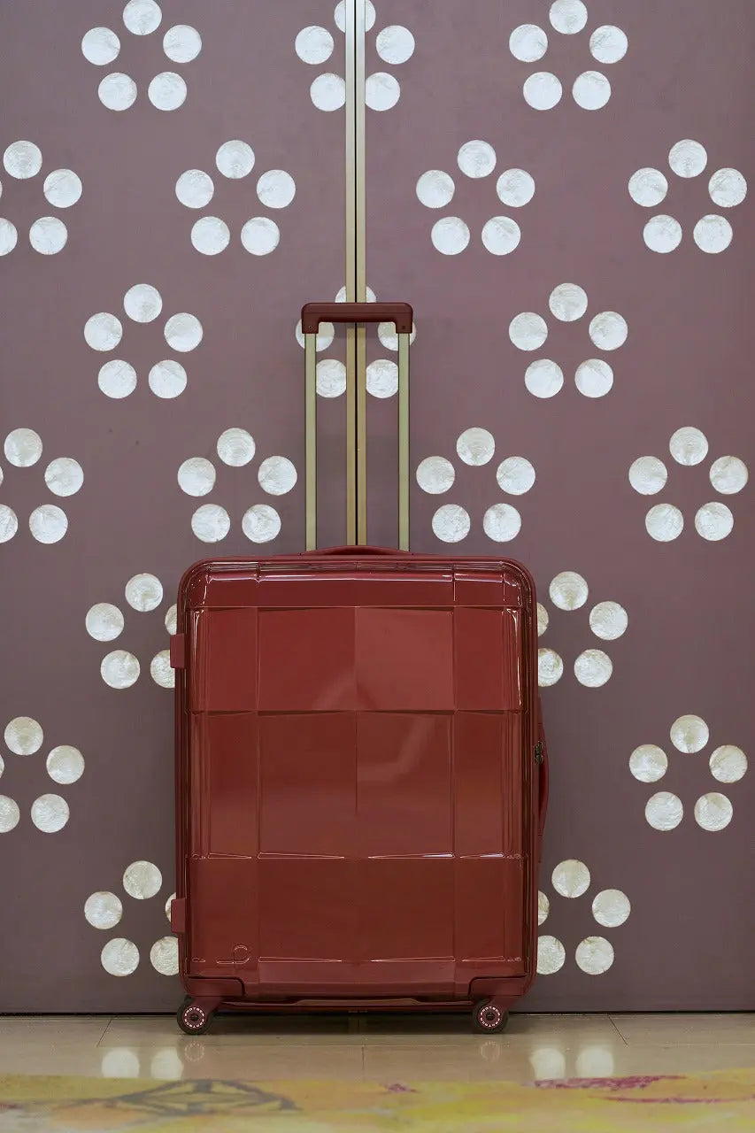 PROTECA-STARIA-CXR-Series ACE Global Online Store