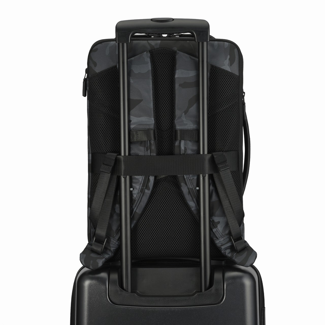 DUALPOSE Limited Backpack Small ACE